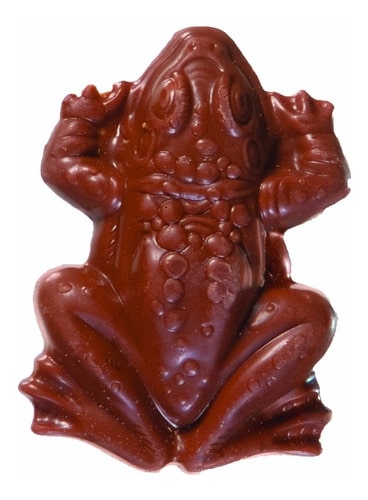 JELLY BELLY HARRY POTTER CHOCOLATE FROG UNPACKED